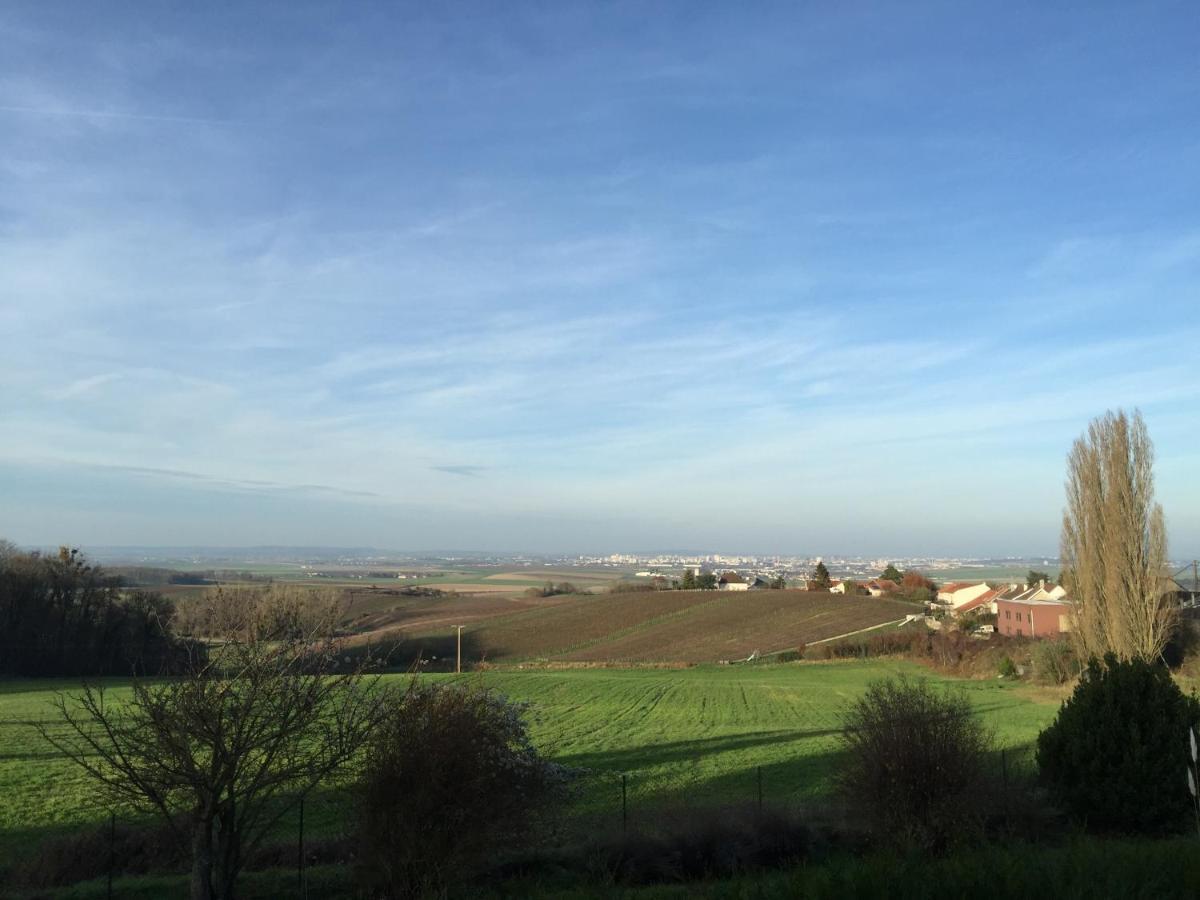 Villa Reims Epernay Champagne Vineyard Villers-Allerand Exterior foto